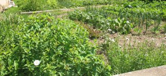 chambres d'hotes D�lices de Noix Bellevaux Haute-Savoie