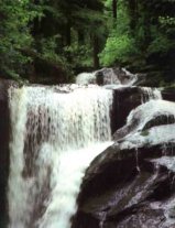 chambres d'hotes D�lices de Noix Bellevaux Haute-Savoie
