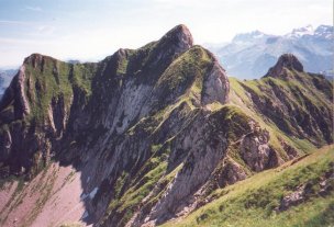 chambres d'hotes D�lices de Noix Bellevaux Haute-Savoie